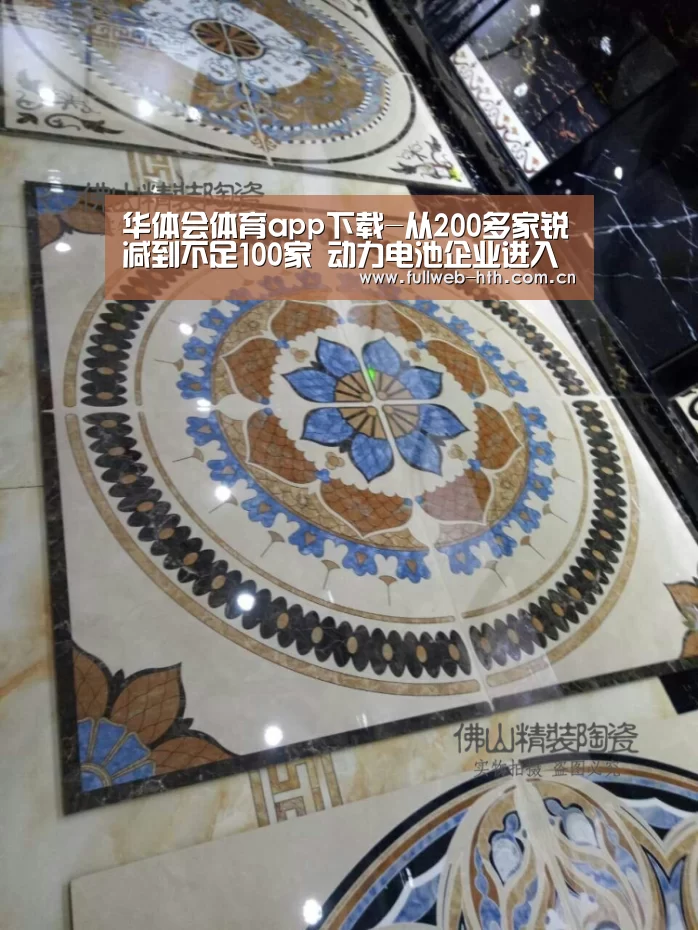 华体会体育app下载-从200多家锐减到不足100家 动力电池企业进入“淘汰赛”阶段(图2) 华体会官方平台