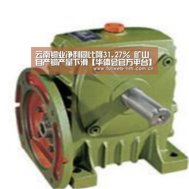华体会体育app下载