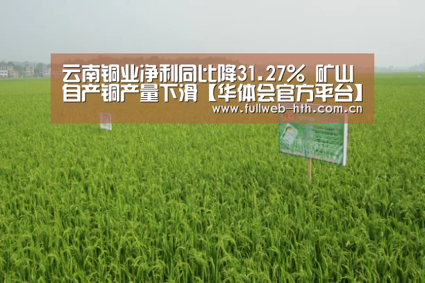 华体会官方网站入口